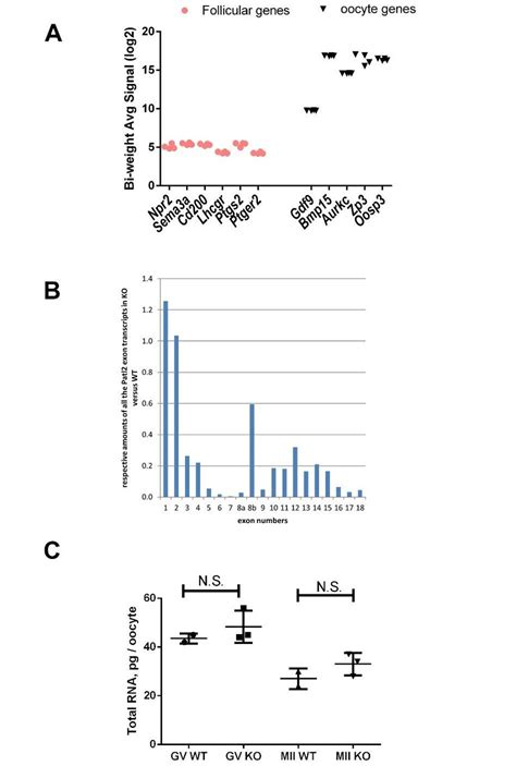 RNA Transcript Graph 的图像结果