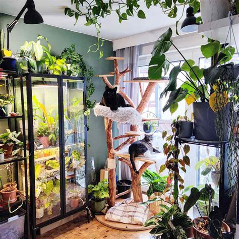 Plant Room Ideas