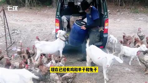 比利时一家人在贵州生活20年并开起农场：想一直留在中国_凤凰网视频_凤凰网