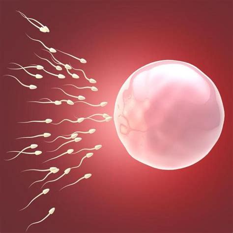 女性排卵期一般是什么时候，在月经前几天