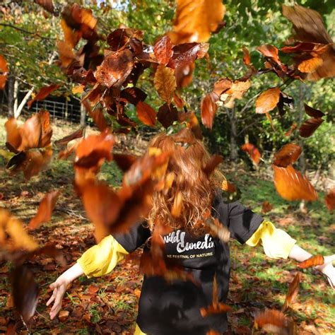 ART PLAY in NATURE, Chingford Park, Dunedin, 21 April 2024 | AllEvents