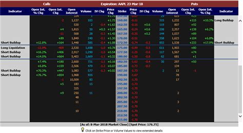 TSLA Open Interest Trends Tesla