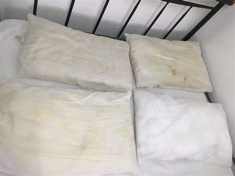 BLUE TONGUE BACKPACKERS (Brisbane) - Hostel Reviews & Photos - Tripadvisor