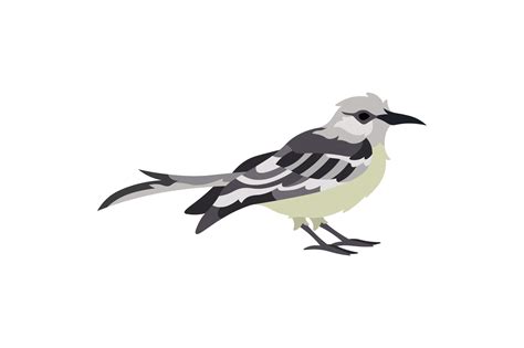 Arkansas State Bird - Northern Mockingbird Arquivo de Corte SVG por ...