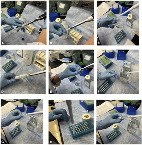 Image result for Single Cell Barcoding