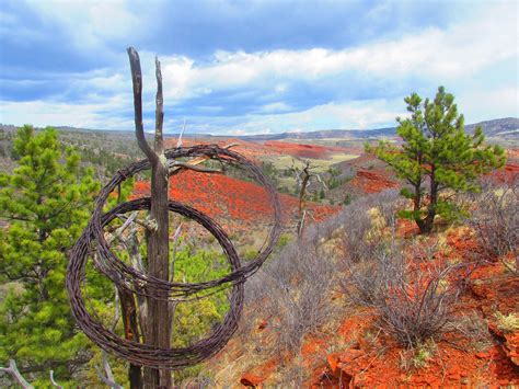 Jim Janicki | Larimer County
