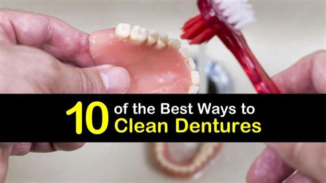Image result for How to Clean Dentures PDF