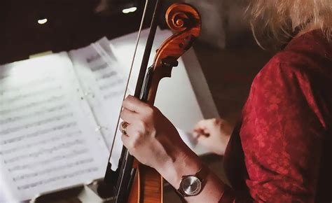 Image result for Classical String Quartet