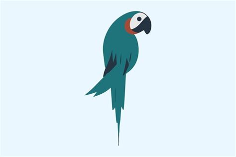 Image result for Parrot Picture Simple Tips