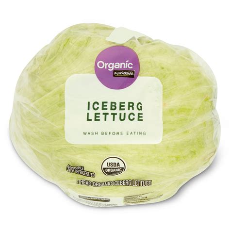 Can Dogs Eat Iceberg Lettuce