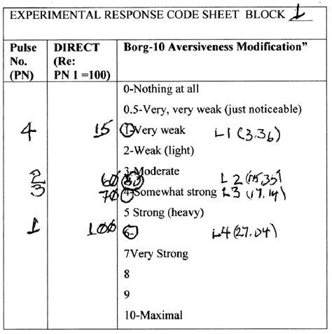 Coding Sheet Example 的图像结果