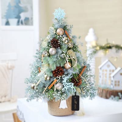 Under the Mistletoe: Order Christmas Flowers Online | Interflora India