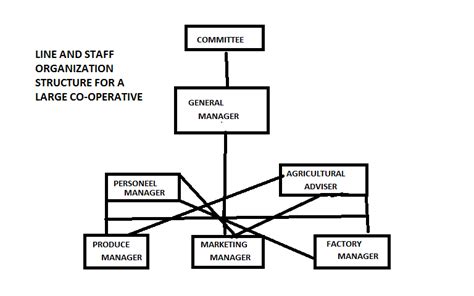 Co-operative Organizational Structure 的图像结果