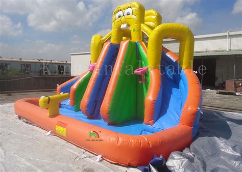 Image result for Inflatable Pool Slides for Inground Pools