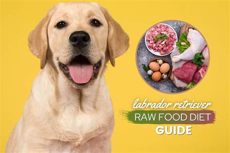 Raw Dog Food Diet Benefits And Risks at Sharon Cordero blog