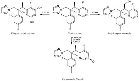 Impact of Cytochrome P450 Enzymes on the Phase I Metabolism of Drugs