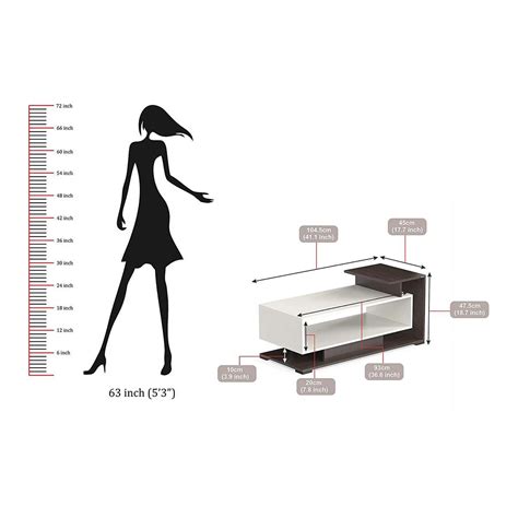 BLUEWUD Declove Engineered Wood Dual Color Coffee Table/Centre Table ...