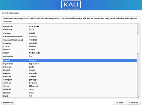 Image result for Kali Linux Install Selection