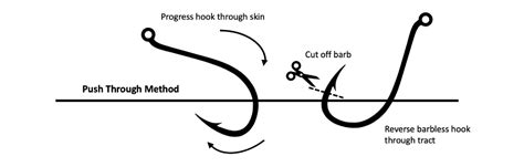 Image result for String Pull Method Fish Hook Removal