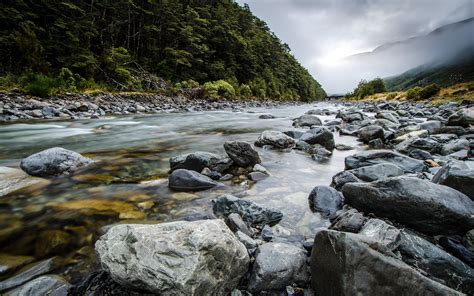 Nature River 的图像结果