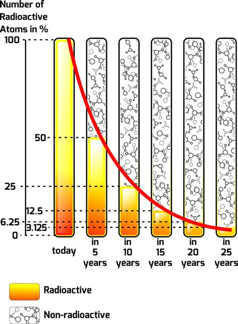 Exponential Decay 的图像结果