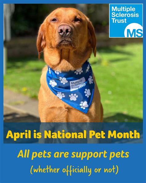 It's National Pets month where we celebrate our animal friends who ...
