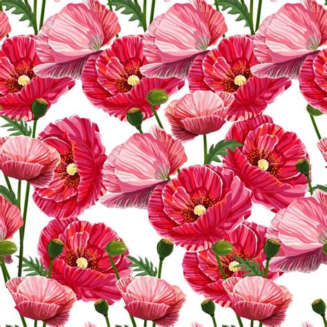 Image result for Poppy Flower Pattern
