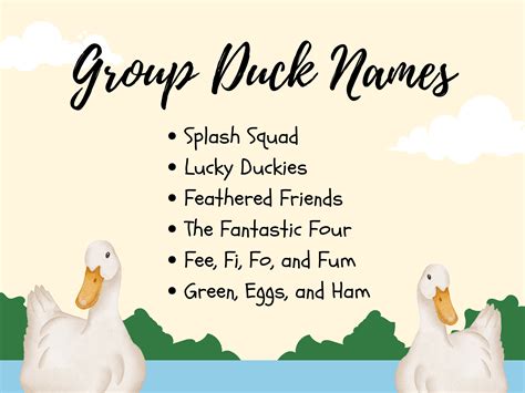 455+ Funny Duck Names for Males & Females