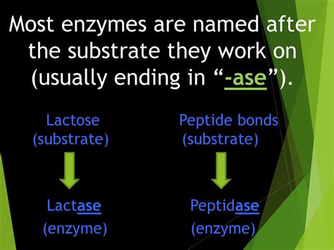 Image result for Modifying Enzyme Reaction