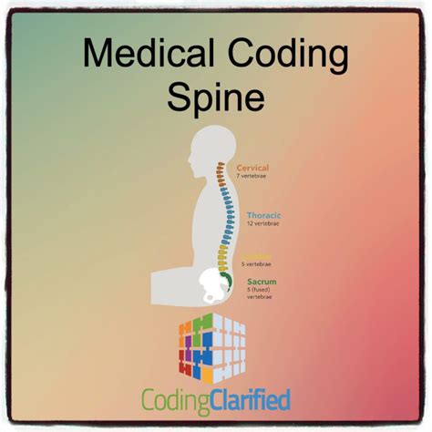 Image result for Spinal Injection Coding Videos