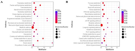 Metabolomics Reveals the Mechanism by Which Sodium Butyrate Promotes ...