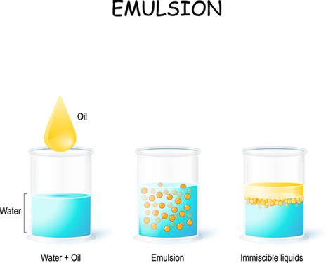 Emulsion and its types — lesson. Science State Board, Class 9.
