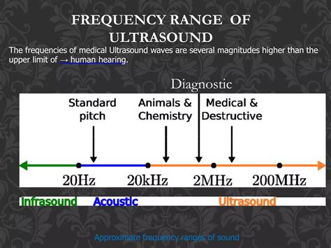 ultrasonography.pptx