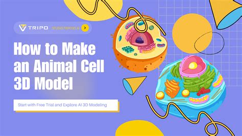 Image result for Cell Model Project