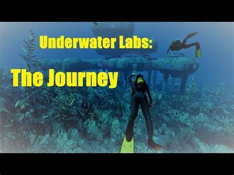 Image result for How to Do Underwater Lab Rust
