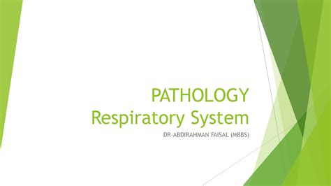 SOLUTION: Pathology respiratory system - Studypool