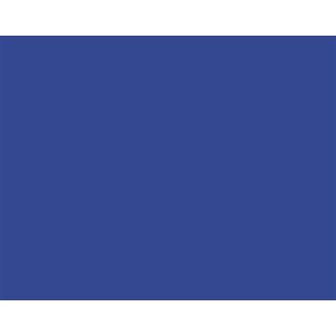 Bazic Products 22 in. W X 28 in. L Dark Blue Poster Board - Ace Hardware