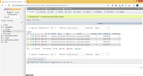 CodeIgniter First Program 的图像结果