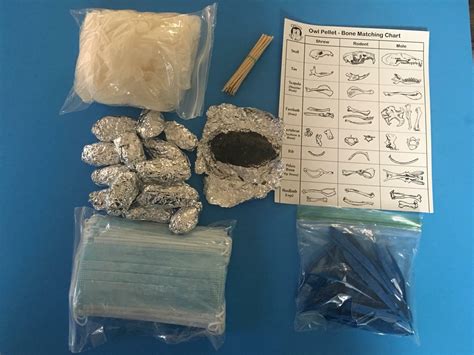 Barn Owl Pellet Dissection Kit 15 Count Large Pellets (2+ Inch ...