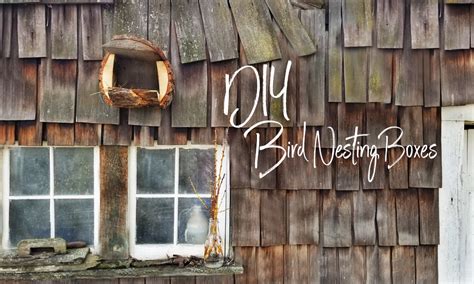 Image result for Bird Nesting Boxes Plans