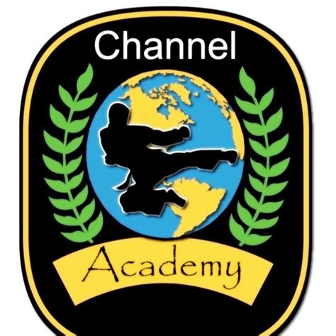 Pro Academy Channel JavaScript 的图像结果