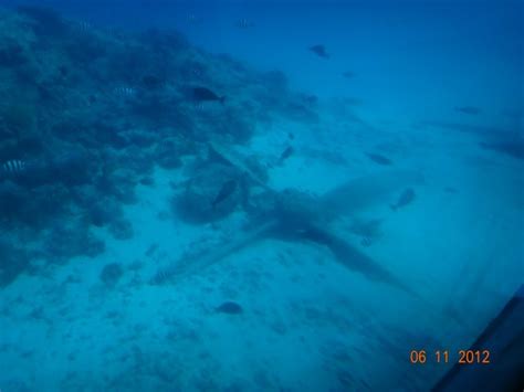 Saipan - yellow submarine. — Teletype