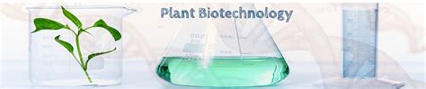 Plant Science and Biotechnology 的图像结果