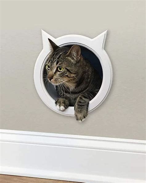 Cat Door Designs at Johanna Reed blog