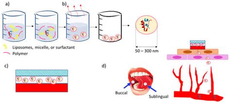Concept for a Unidirectional Release Mucoadhesive Buccal Tablet for ...