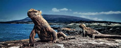 10 de marzo, 483 años del descubrimiento de las islas Galápagos ...