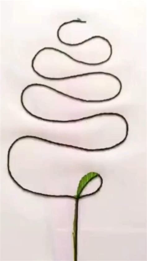 Image result for String Paint