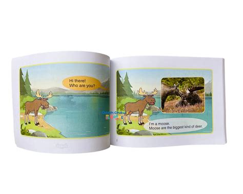 LITTLE FOX - Level 2 - Meet the Animals