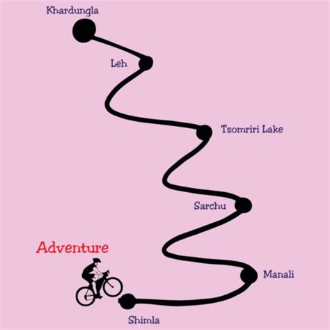 cyclist-leh Personalized Men's T-Shirt India