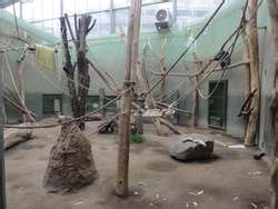 ZooLex Exhibit - Chimpanzees